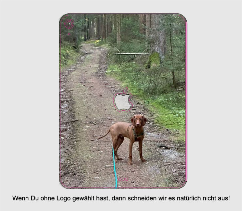 Apple iPad Air Skin individuell selbst gestalten Schutzfolie mit Deinem Wunschbild cpb_product skins4u