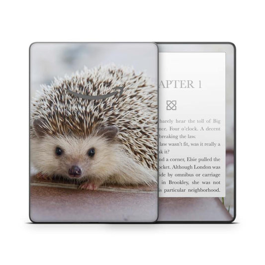 Amazon Kindle mit 6" Display 10.Generation 2019 Schutzfolie Igel Aufkleber skins4u   