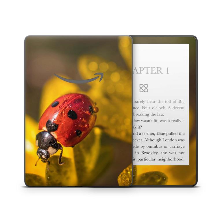 Amazon Kindle mit 6" Display 10.Generation 2019 Schutzfolie Ladybug Aufkleber skins4u   