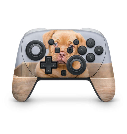 Nintendo Switch 2 Pro Controller Skin Aufkleber selbst gestalten Aufkleber Skins4u